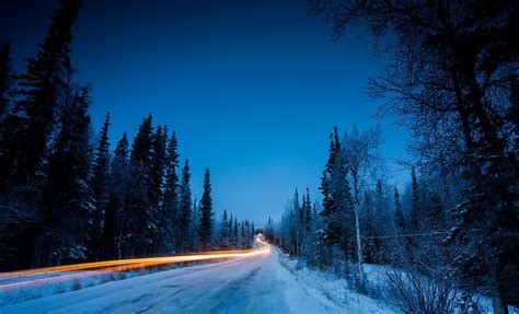 Path Snow Road Pine Trees Light Trails Nordic Landscapes