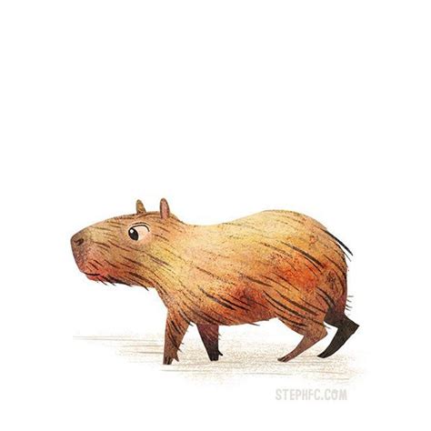 Capybara The Worlds Largest Rodentand Maybe The Cutest Tech Stuff