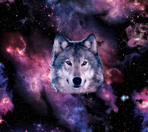 La experiencia el sonido de galaxia creará una atmósfera interesante basada en elemento lobo y elemento neón. Galaxy Wolf wallpaper by rejepo - 2e - Free on ZEDGE™