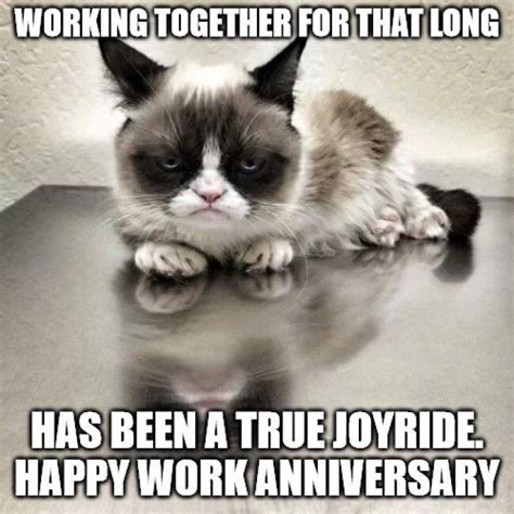 Funny Happy Work Anniversary Memes Wish Love Quotes Work Images And Photos Finder