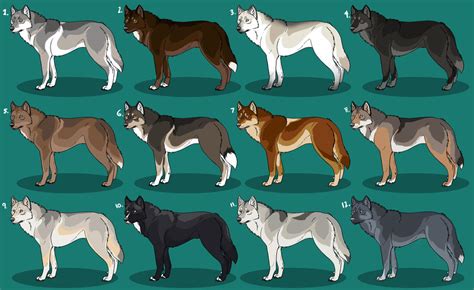 Realistic Wolf Adoptables 3 Closed By Nature Ridge Adopts On Deviantart