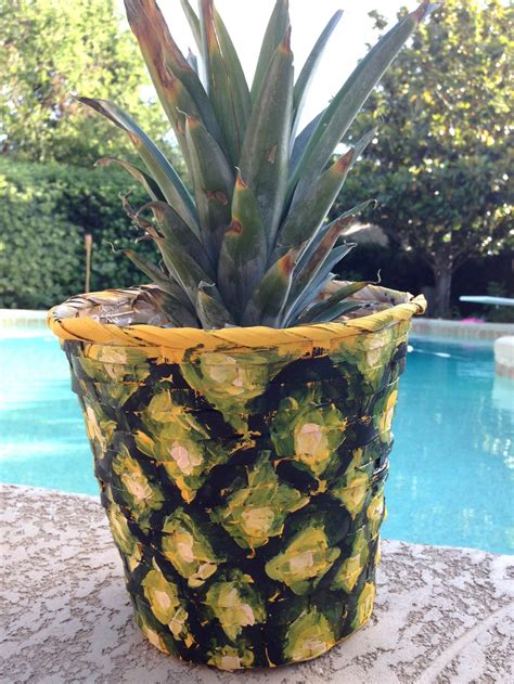 How To Plant A Pineapple And Make A Matching Planter