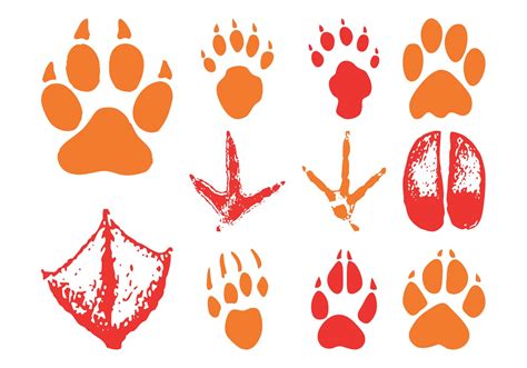 Animal Footprints Download Free Vector Art Stock Graphics And Images