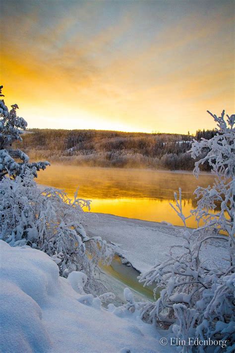 Yellow Winter With Images Winter Sunset Winter Scenes Landscape