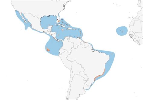 Magnificent Frigatebird Range