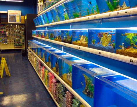 Exotic Freshwater Fish Store