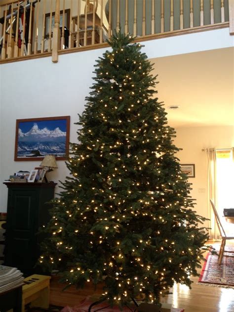 Balsam Hill Balsam Fir 9 Foot Christmas Tree Barnegat Nj Patch