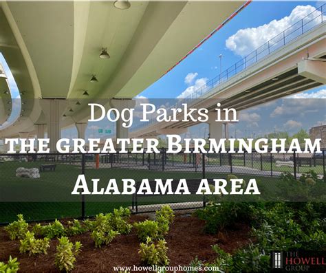 Dog Parks In Birmingham Alabama 2023 Dianna Howell