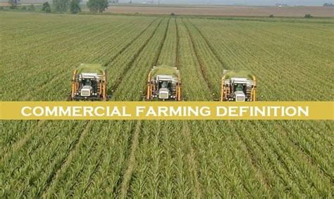 Commercial Farming Definition And Types Of Farming Basic Agricultural