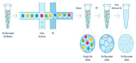 Pacbio Is A Dna Sequencing Standout Nasdaqpacb Seeking Alpha