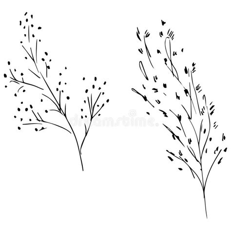 Hand Drawn Vector Illustrations Of Abstract Set Of Leaves Isolated On
