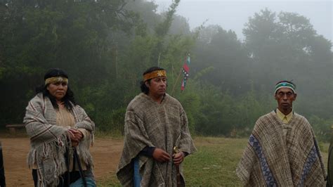 El Pueblo Mapuche Quiere Su Propio Gobierno Lejos De Todo Notas De