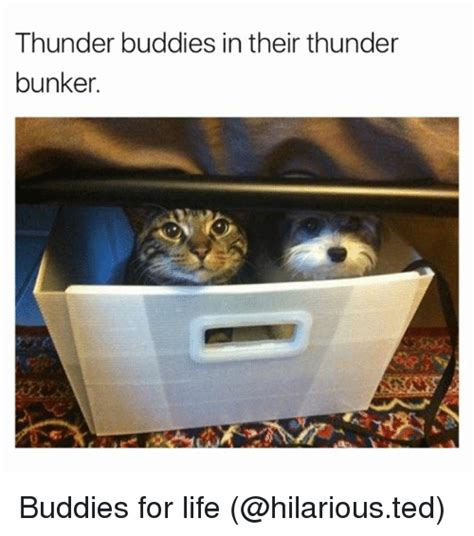 Thunder Buddies In Their Thunder Bunker Buddies For Life Funny Meme On Me Me