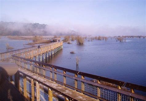 The New Nisqually Boardwalk Photo By Tomas Winter Hiking Go Hiking