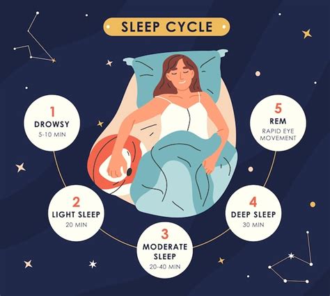 Ciclos De Sono Infográfico Fase De Descanso Noturno Fases De Sono