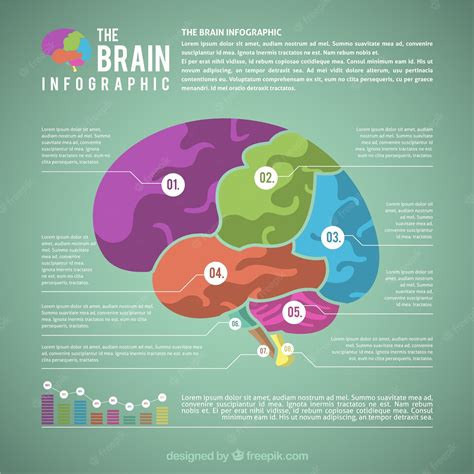 Free Vector Flat Infographic Of Colorful Brain