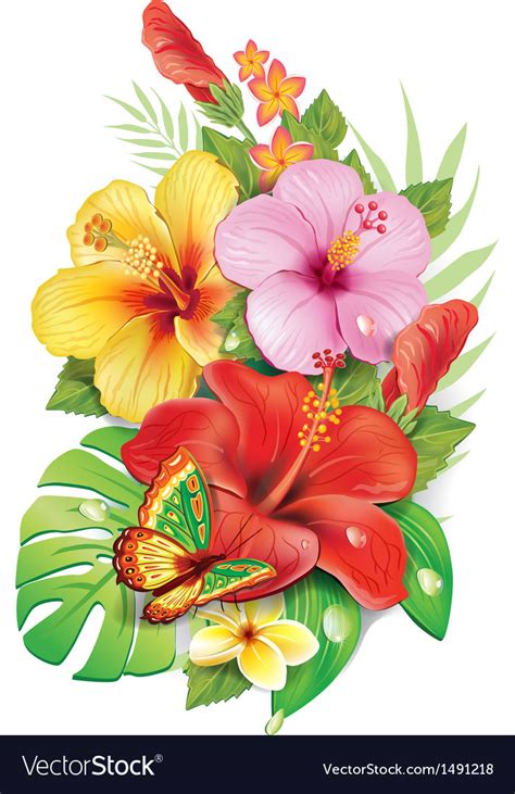 Bouquet Tropical Flowers Royalty Free Vector Image