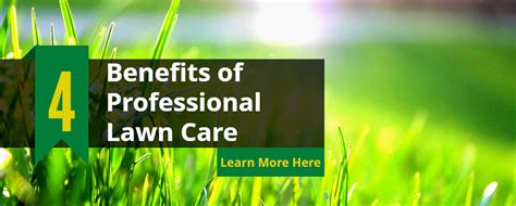 Professional Lawn Care Services Healthy Lawns In Less Time