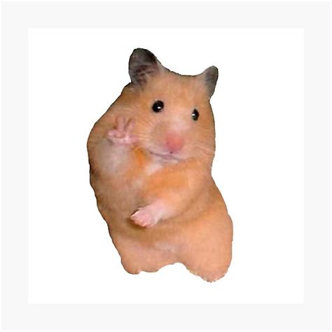 Peace Hamster Meme Photographic Print For Sale By Amemestore Redbubble