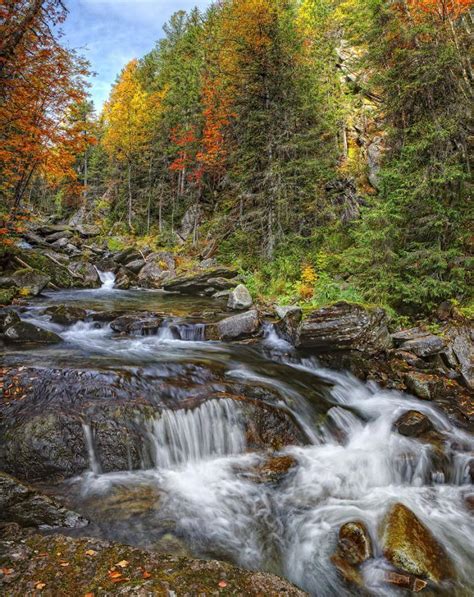 Mountain Stream In Autumn Landscape Nature Forest Mountain Trees