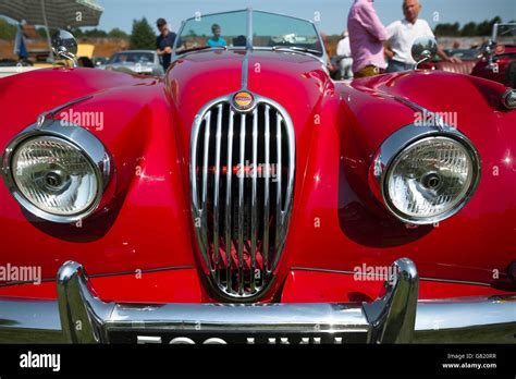 1950s European Sports Cars