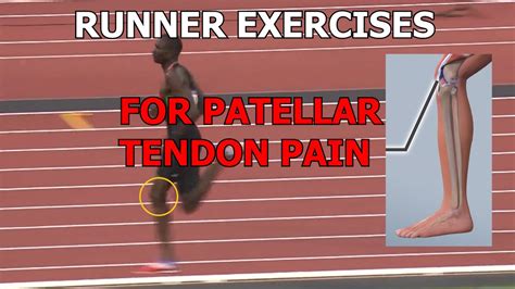 Runner Exercises For Patellar Tendon Painirritability Youtube