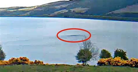 Loch Ness Monster Seen On Live Cam May Video UFO Sighting News ET Data Base UFO