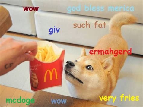 100 Shibe Doge Tumblr Doge Doge Meme Funny Animal Memes