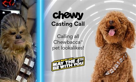 Does Your Pet Look Like Chewbacca Chewy Is Looking For A Chewie Look