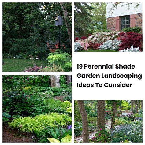 19 Perennial Shade Garden Landscaping Ideas To Consider Sharonsable