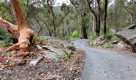 How to get a bridge in animal crossing: Stepping Stone Crossing to Cascades trail | NSW National Parks