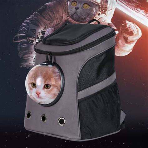 It functions as a carrier but also is a backpack that you can wear on your some backpacks can be a little small for our kitties and there are a few that are designed for bigger cats. 46225-bae766-min