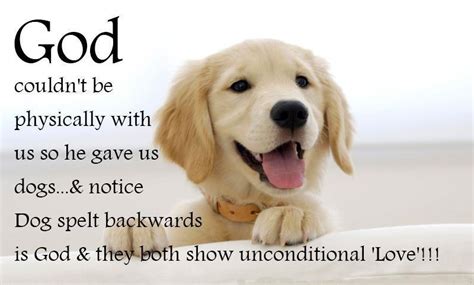 If a dog can love us unconditionally, why can't we love each other in the same way? Unconditional Dog Love Quotes - WeNeedFun