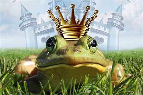 Funny Frog Prince Pictures