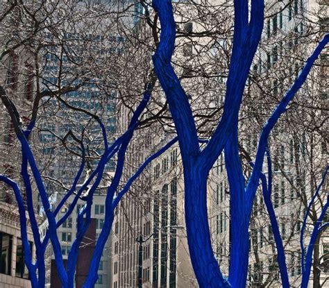 Seattles Blue Trees Highlight Global Deforestation Issues Urban Ghosts