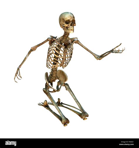 Kneeling Skeleton Cut Out Stock Images And Pictures Alamy