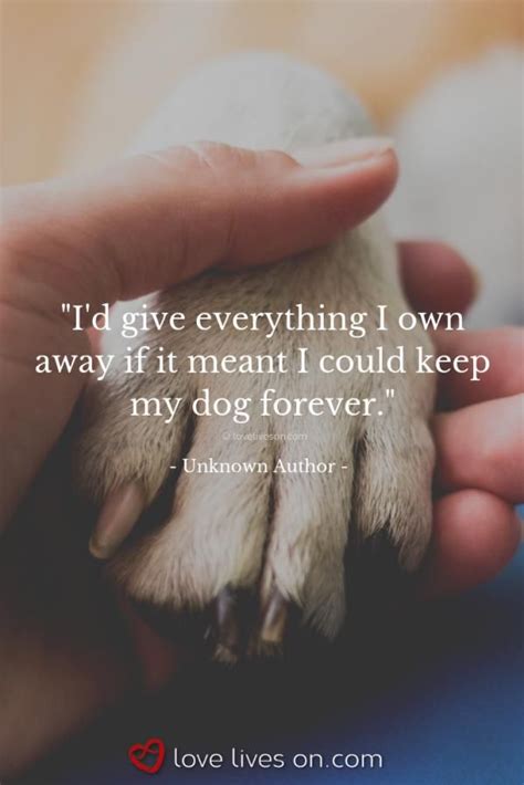 Pet Quotes Dog Pet Loss Quotes Dog Quotes Love Animal Quotes Grief