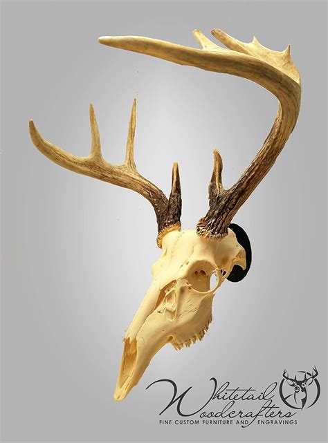 Metal European Mount Deer Skull Hanger Bracket Hook Handmade
