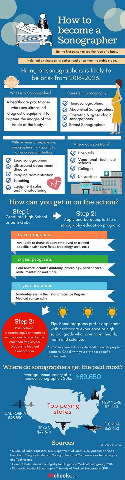 Career Options How To Become A Sonographer Infographic Educational