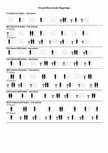 French Horn Scale Fingerings Chart Printable Pdf Download