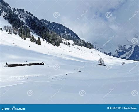 Fresh Snow On The Alpine Pastures Around Lake GrÃ¤ppelensee