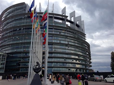 There are many activities at the european parliament, such as individual and group visits, information sessions and a. EU's Strasbourg parliament should become a university