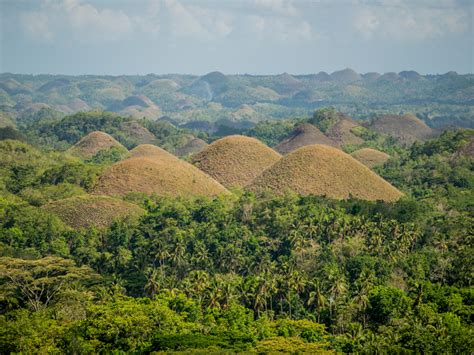 The first and only surfing zipline in asia and maybe in the world. Chocolate Hills, Bohol • Sakay & Co