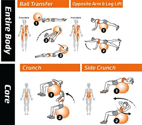 Exercise Ball Poster Total Body Workout Your Personal