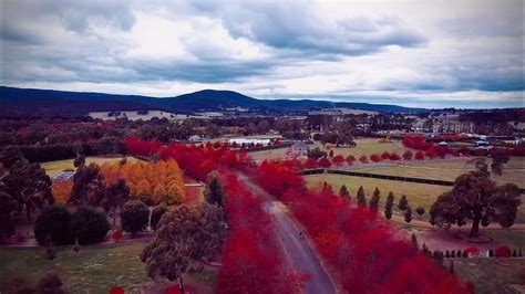 Autumn Festival Macedon Ranges Youtube