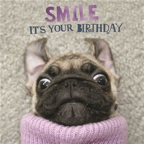 Cute Pug Birthday Card I Love Pugs
