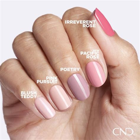 A New Sweet Rosy Pink Polish For Your Autumn Its Pacific Rose Cnd