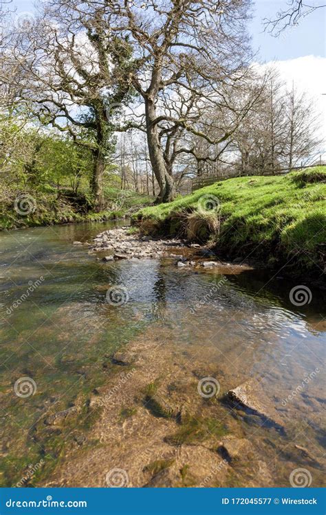 River Noe Surrounded By Trees And Rocks Covered In Mosses Under The