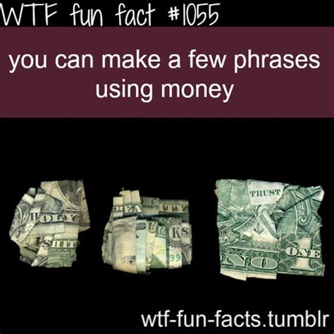 selection of wtf fun facts 45 pics picture 23