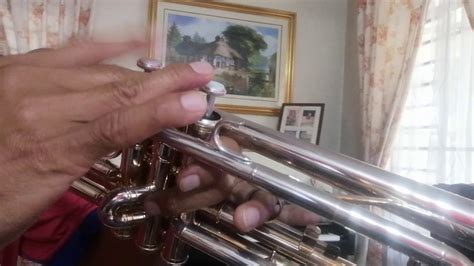 Sabor A Mi Trumpet Cover Youtube